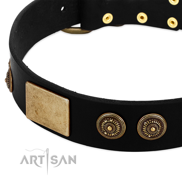 Corrosion proof hardware on natural leather dog collar for your four-legged friend