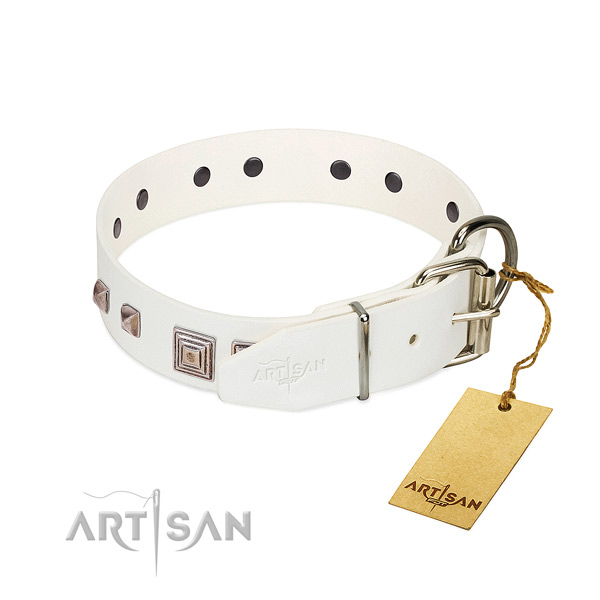 Amazing collar of leather for your handsome doggie