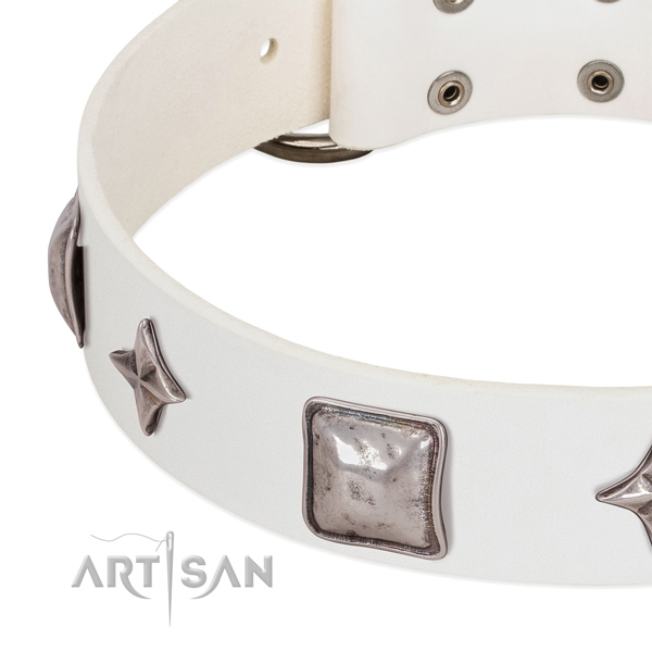 Genuine leather collar with top-notch decorations for your four-legged friend