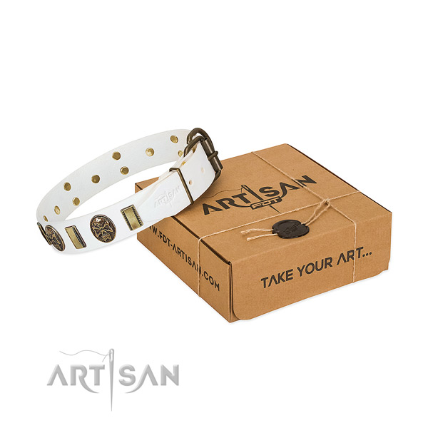 Corrosion proof D-ring on full grain leather dog collar for walking