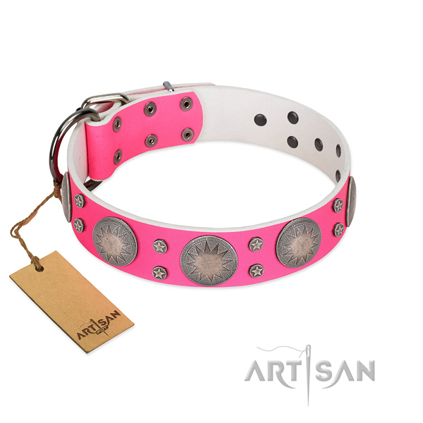 Top rate full grain genuine leather dog collar with trendy studs