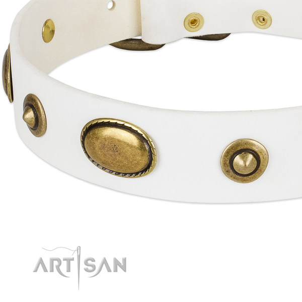 Reliable adornments on natural leather dog collar for your dog