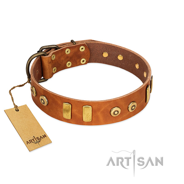 Leather dog collar with impressive adornments for handy use