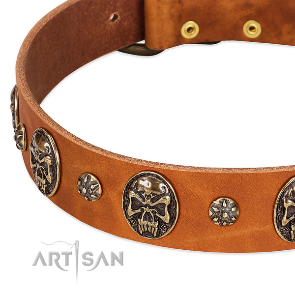 Strong embellishments on full grain natural leather dog collar for your pet