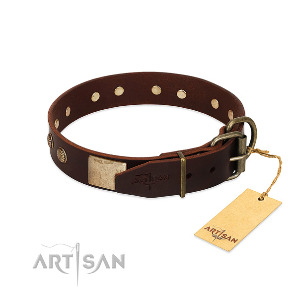 Corrosion proof hardware on daily walking dog collar