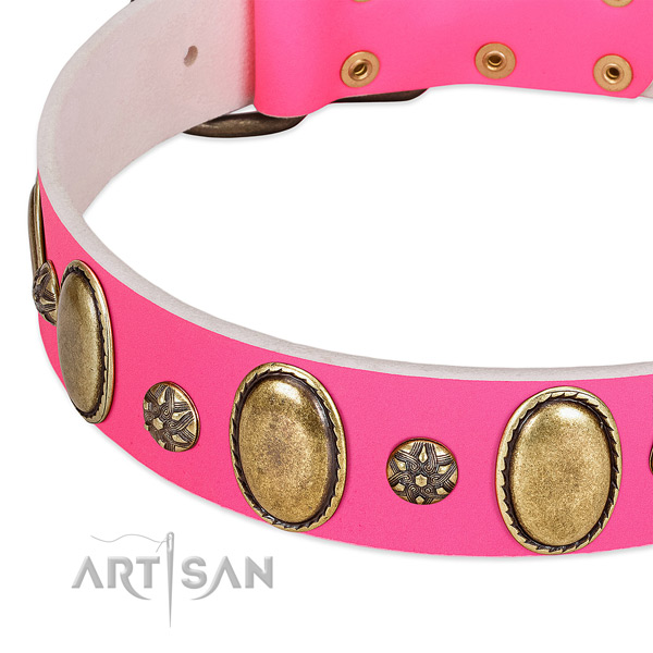 Stylish walking best quality full grain leather dog collar with studs