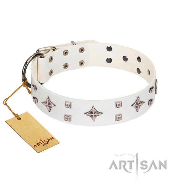 Trendy full grain leather collar for your pet stylish walks