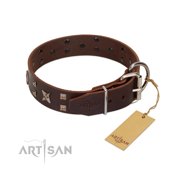 Natural leather dog collar with designer decorations