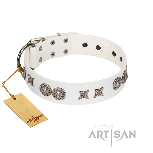 Natural leather collar with designer decorations for your pet