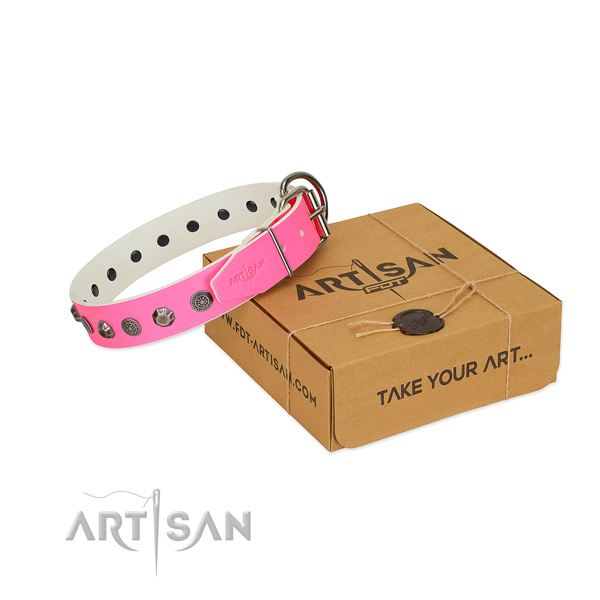 Natural leather dog collar of quality material with stylish adornments