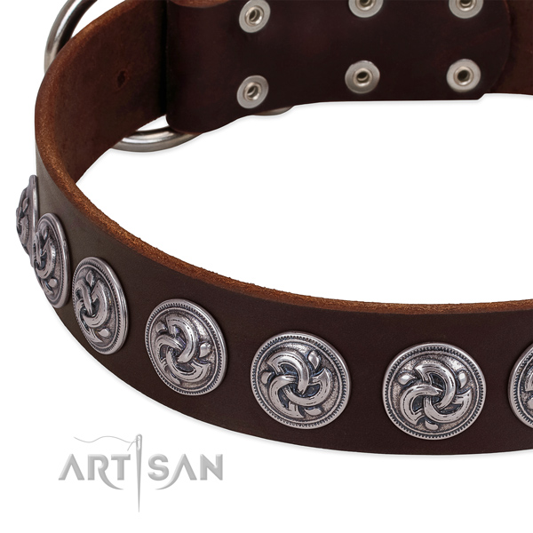 Unusual full grain leather collar for your doggie stylish walks