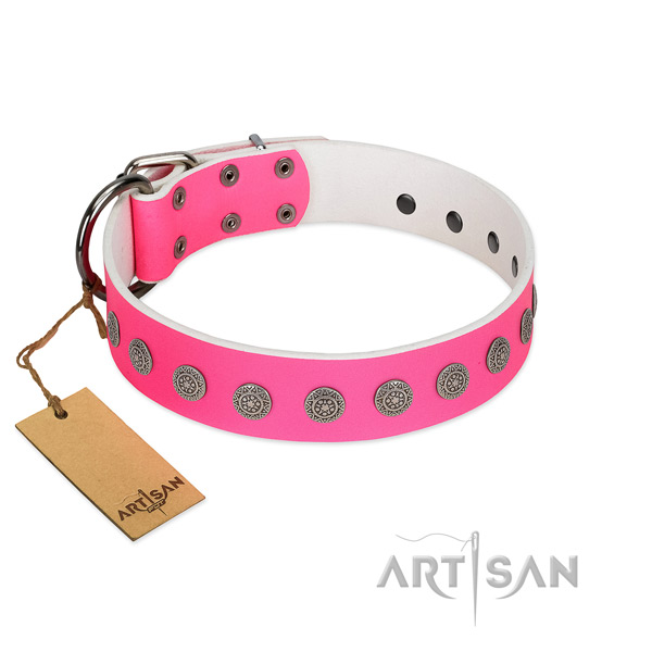 Awesome embellishments on leather collar for comfy wearing your dog