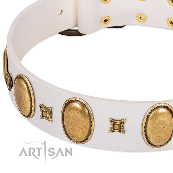Full grain genuine leather dog collar with decorations for comfy wearing