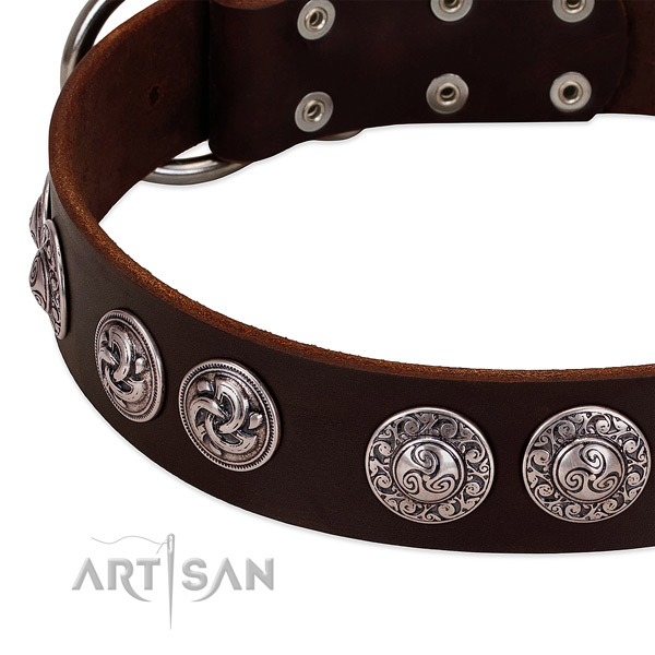 Stunning full grain leather collar for your dog daily walking