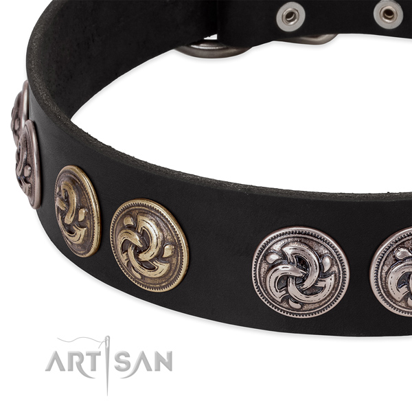 Fashionable genuine leather collar for your four-legged friend daily walking