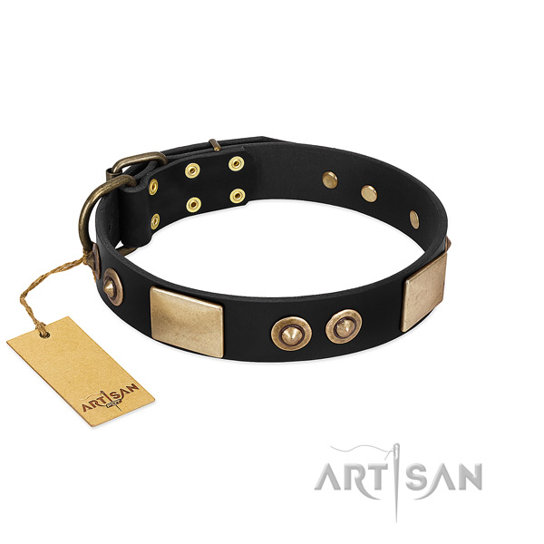 Easy wearing leather dog collar for stylish walking your canine