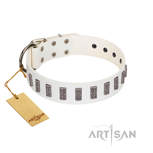 Full grain genuine leather dog collar of quality material with exceptional embellishments