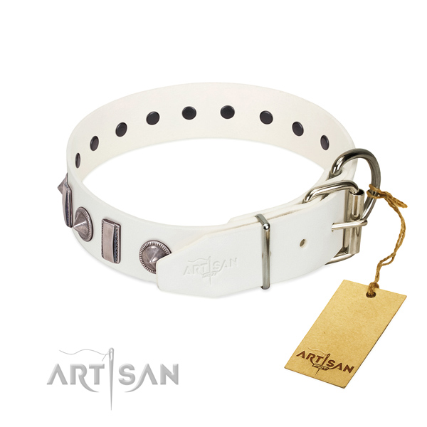 Everyday use full grain leather dog collar with incredible embellishments