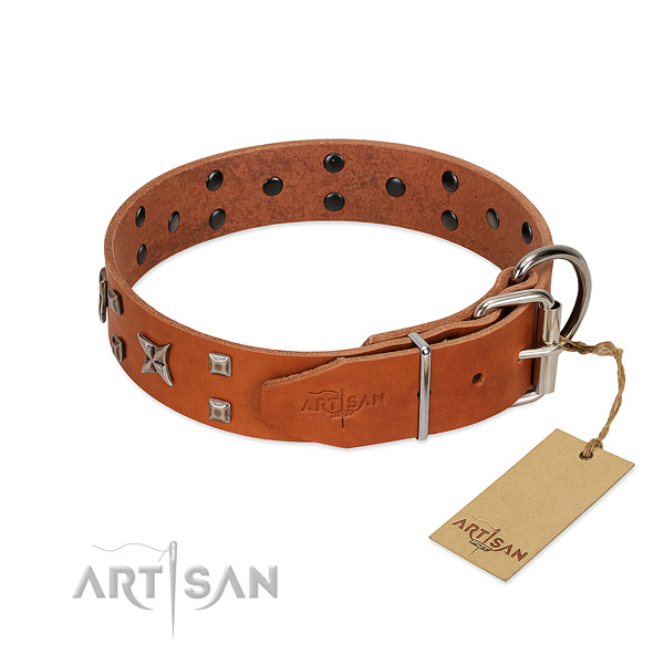 Reliable full grain natural leather collar crafted for your canine