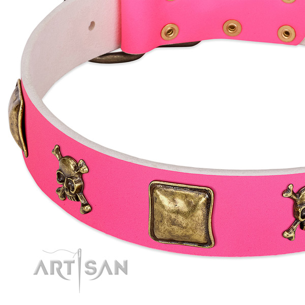 Flexible leather dog collar with amazing embellishments