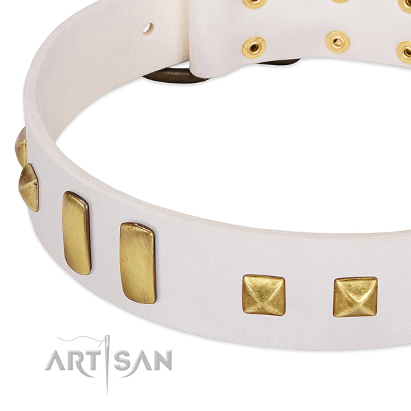 Gentle to touch full grain leather dog collar with decorations for walking