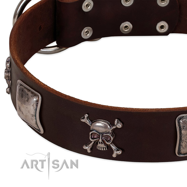 Corrosion resistant adornments on full grain genuine leather dog collar