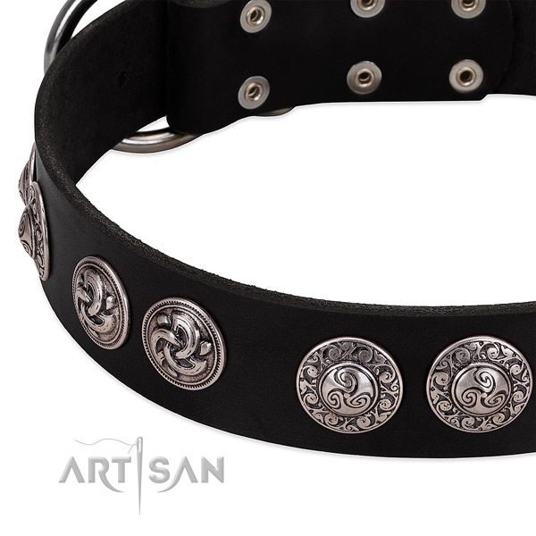 Significant genuine leather collar for your dog stylish walks