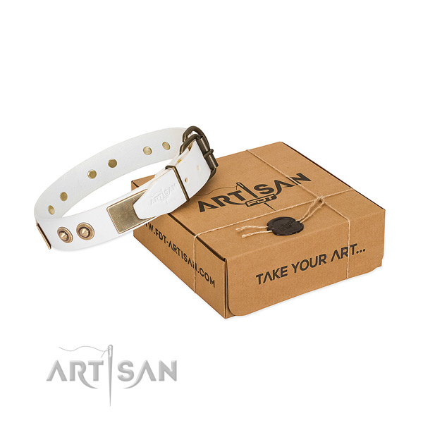 Rust resistant D-ring on genuine leather dog collar for your dog