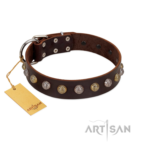 Durable D-ring on genuine leather dog collar for walking your dog