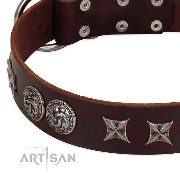 Full grain leather collar with stylish decorations for your four-legged friend