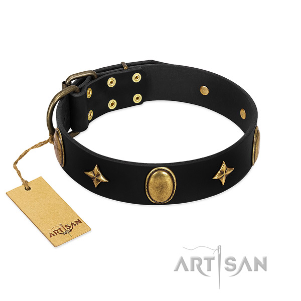 Strong leather collar with rust-proof embellishments for your pet