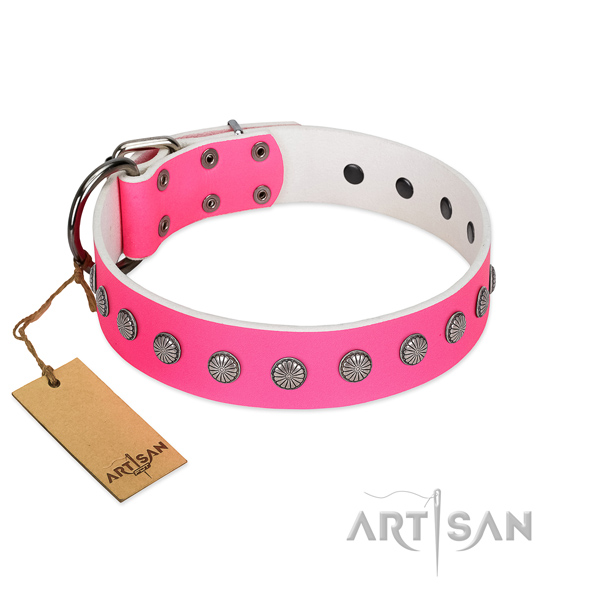 Fashionable adornments on natural leather collar for comfy wearing your four-legged friend