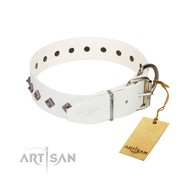 Stylish design adornments on genuine leather collar for comfy wearing your four-legged friend
