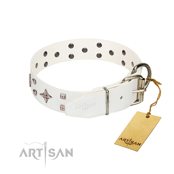 Stunning genuine leather collar for your doggie everyday walking