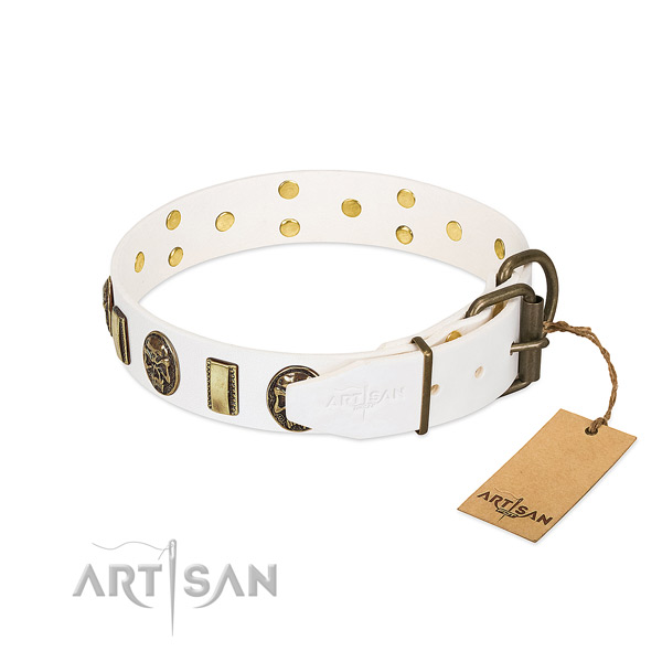 Corrosion proof traditional buckle on genuine leather collar for basic training your dog