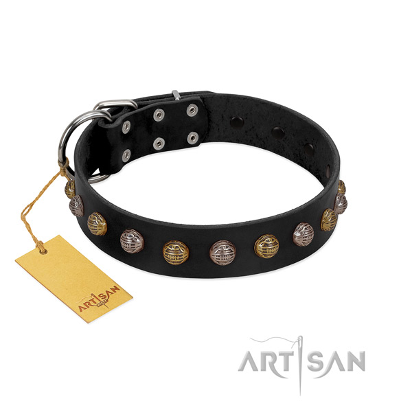 Rust-proof hardware on genuine leather dog collar for basic training your doggie