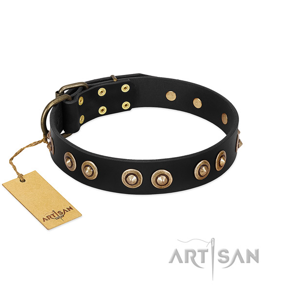 Rust resistant fittings on full grain genuine leather dog collar for your dog