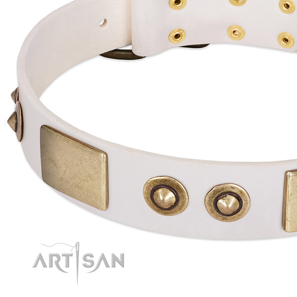 Corrosion proof studs on leather dog collar for your dog