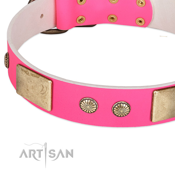 Rust-proof fittings on natural leather dog collar for your pet