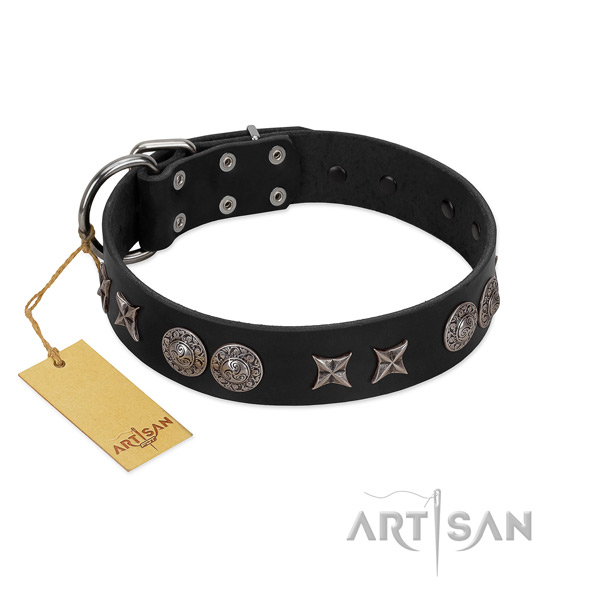 Corrosion proof fittings on full grain leather dog collar for handy use
