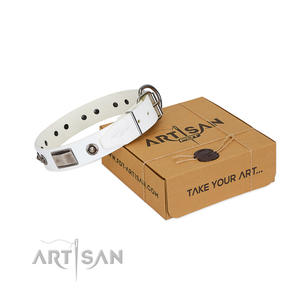 Top notch dog collar of full grain natural leather with decorations