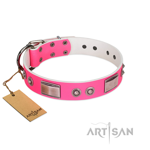 Easy wearing full grain natural leather collar with studs for your four-legged friend