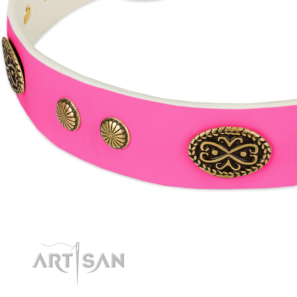 Corrosion resistant studs on genuine leather dog collar for your canine