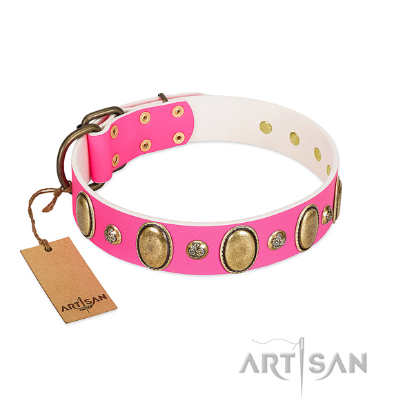 Full grain natural leather dog collar of top notch material with extraordinary embellishments