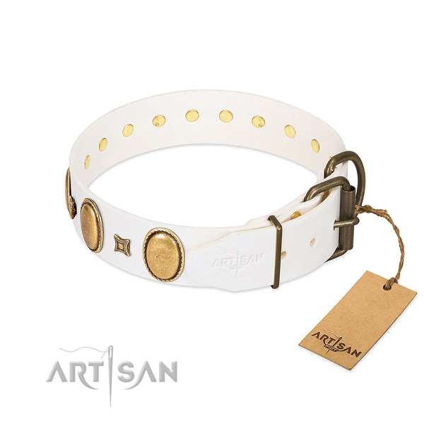 Rust resistant D-ring on daily use dog collar