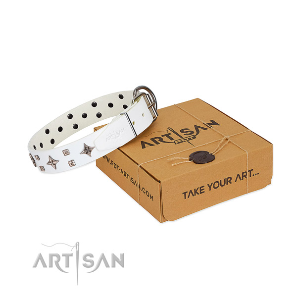 Stunning leather collar for your canine walking in style