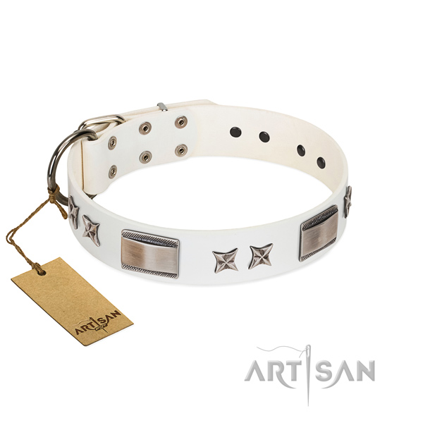 Inimitable dog collar of leather