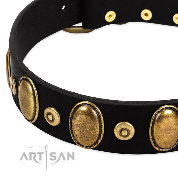 Top quality full grain natural leather collar for your impressive canine