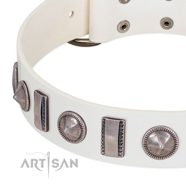 Stylish design studded full grain genuine leather dog collar for everyday walking
