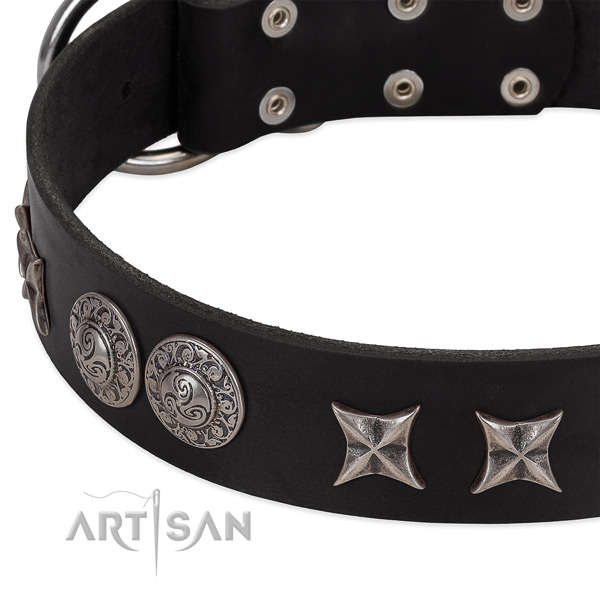 Durable full grain leather dog collar with decorations
